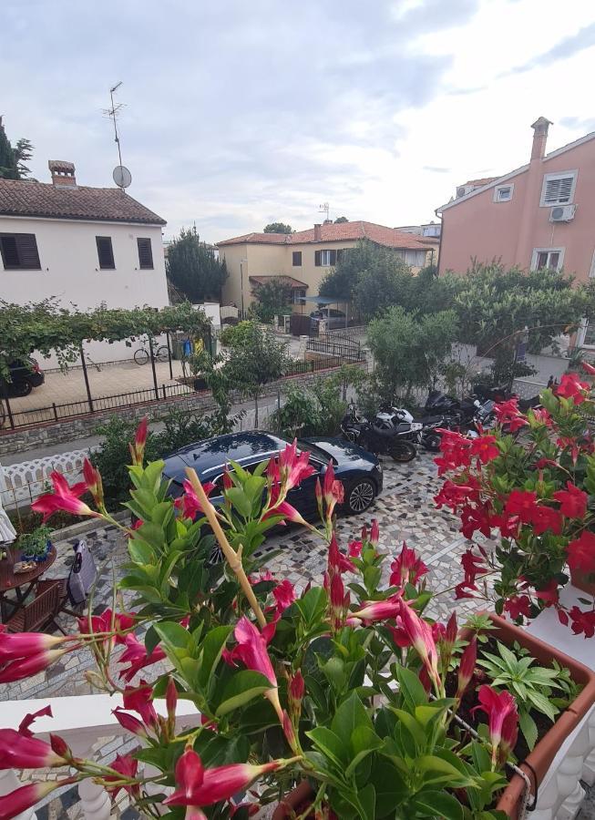 Apartments Tereza Novigrad  Exterior photo
